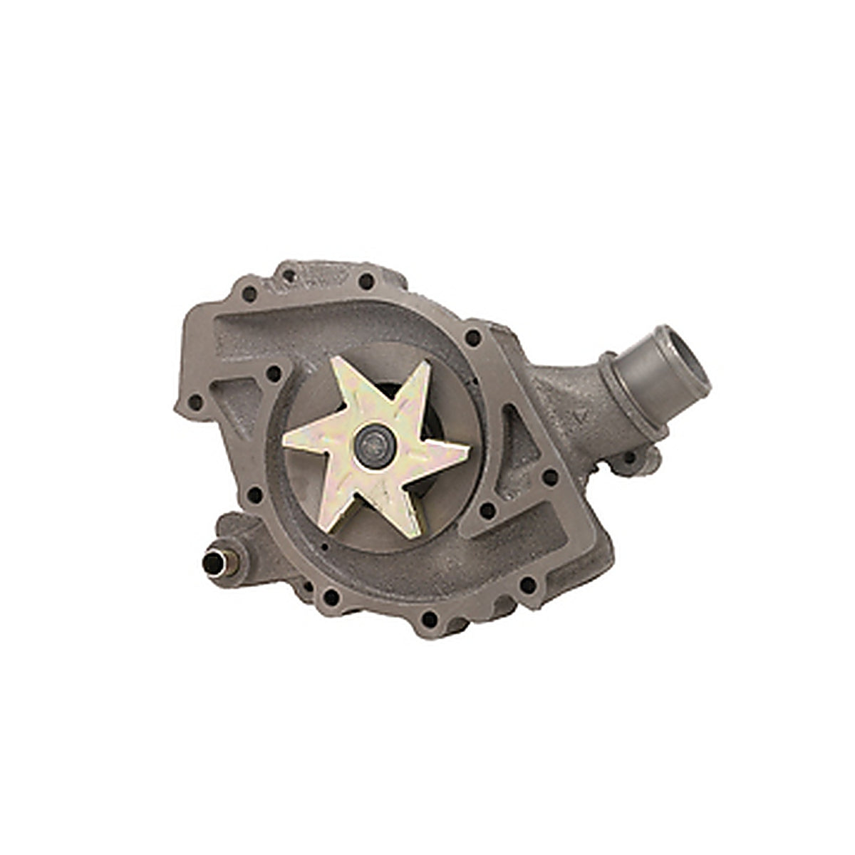 Dayco - DP1031 - Water Pump-Auto/Light Truck, Dayco