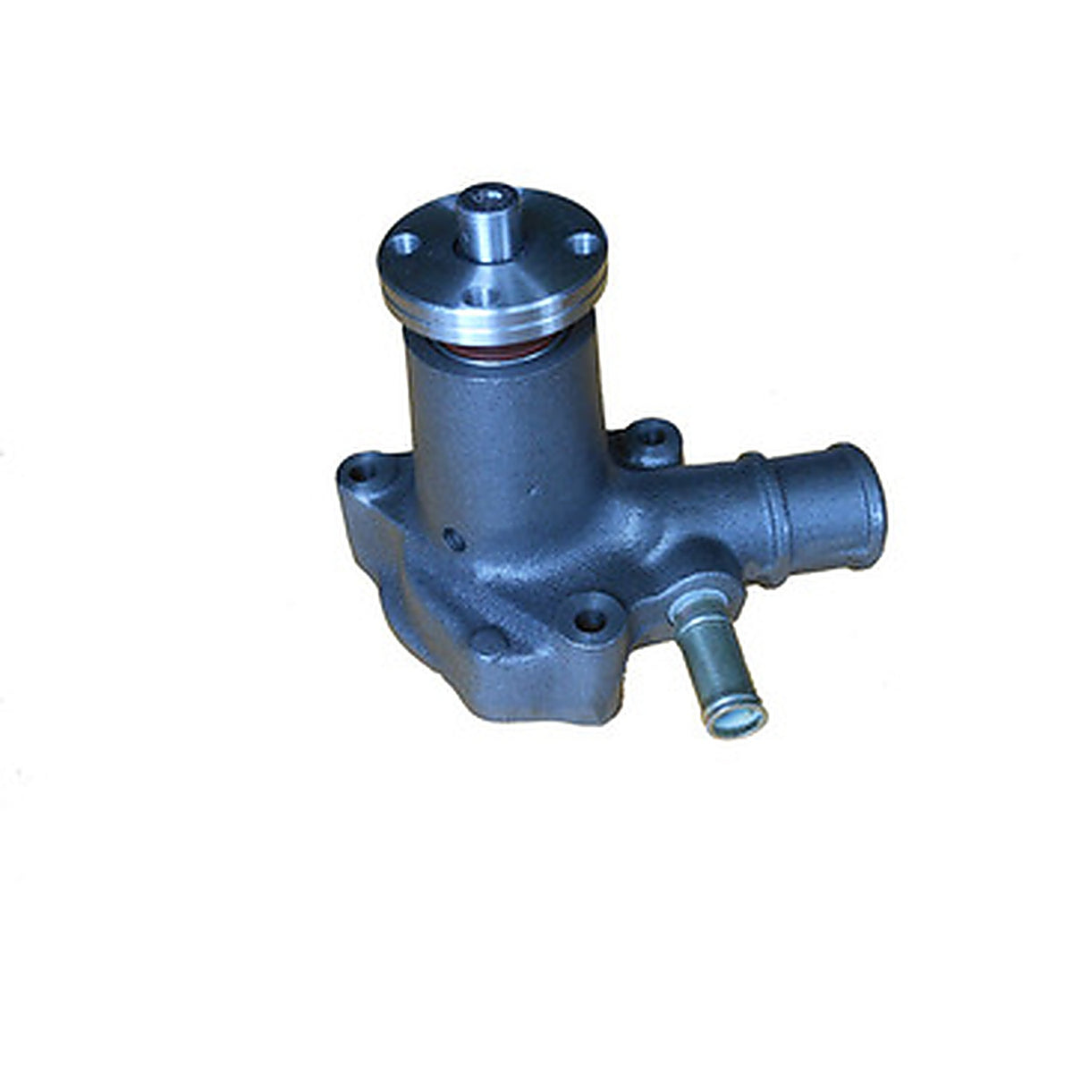 Dayco - DP1312 - Water Pump-Auto/Light Truck, Dayco