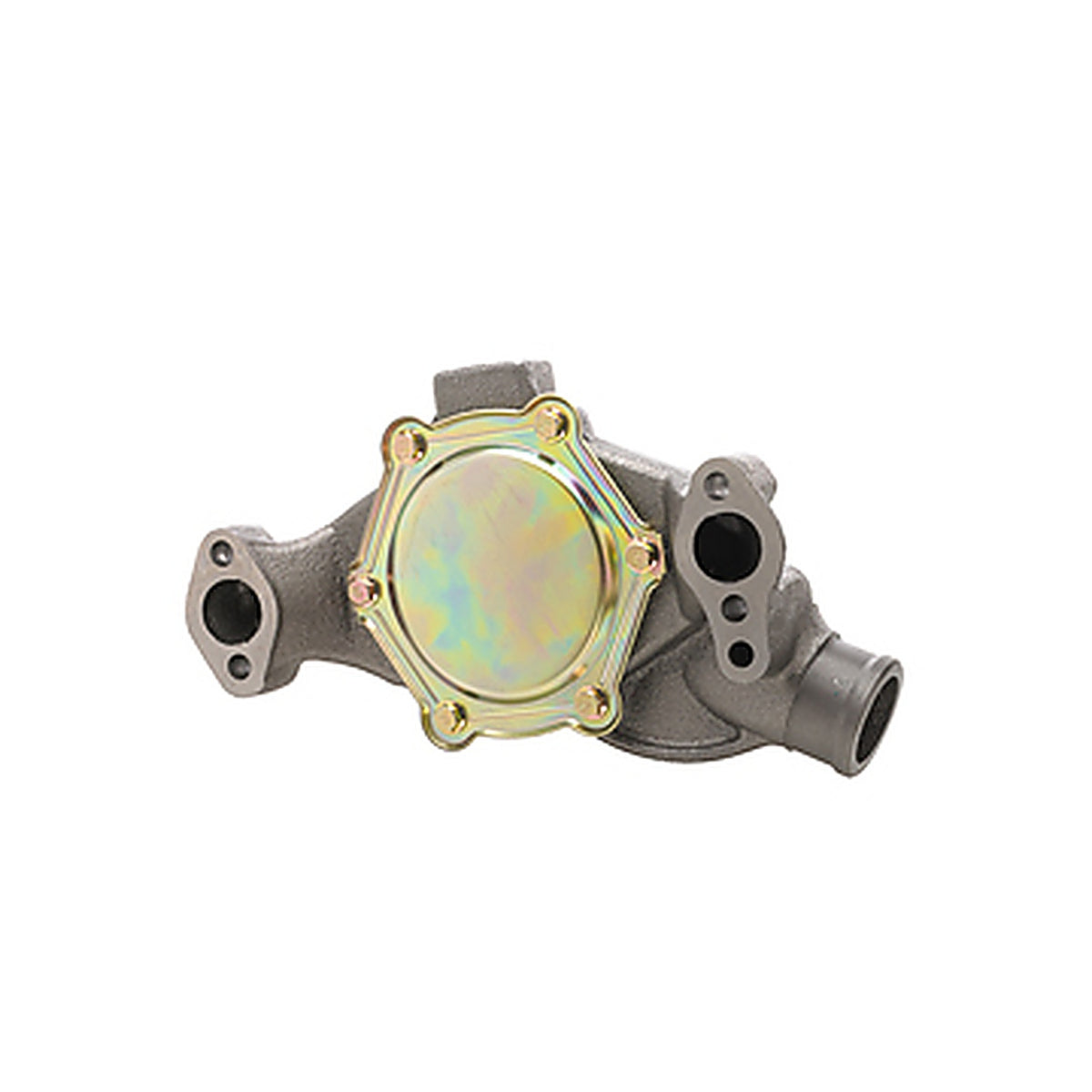 Dayco - DP1313 - Water Pump-Auto/Light Truck, Dayco