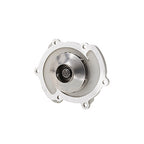 Dayco - DP532 - Water Pump-Auto/Light Truck, Dayco