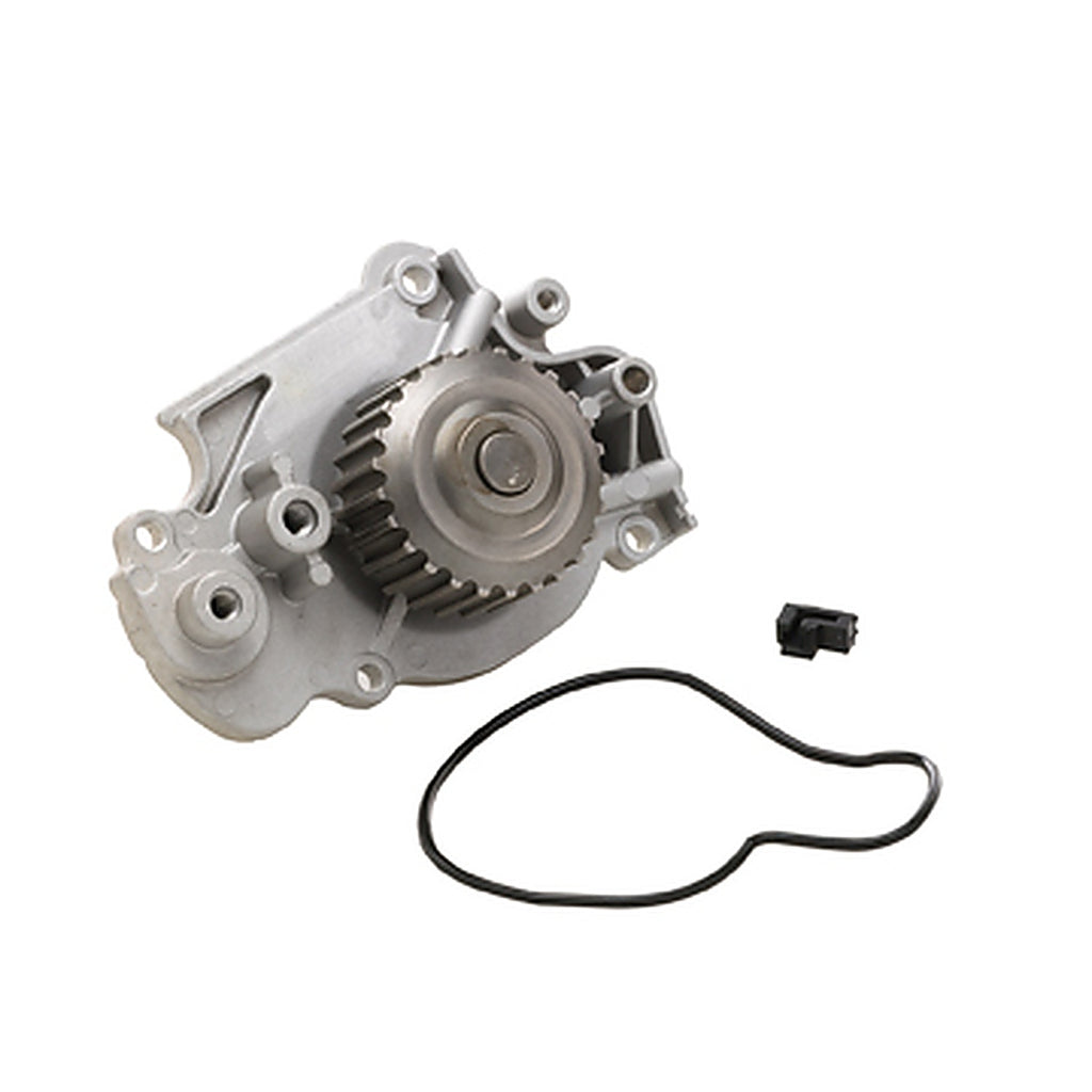 Dayco - DP556 - Water Pump-Auto/Light Truck, Dayco