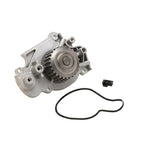 Dayco - DP556 - Water Pump-Auto/Light Truck, Dayco