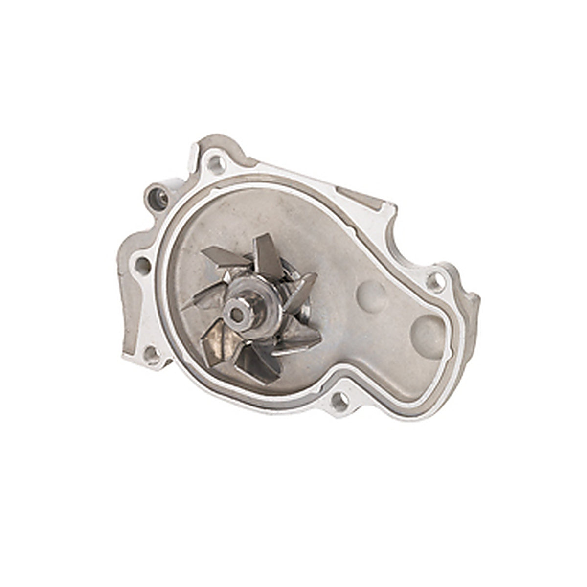Dayco - DP556 - Water Pump-Auto/Light Truck, Dayco