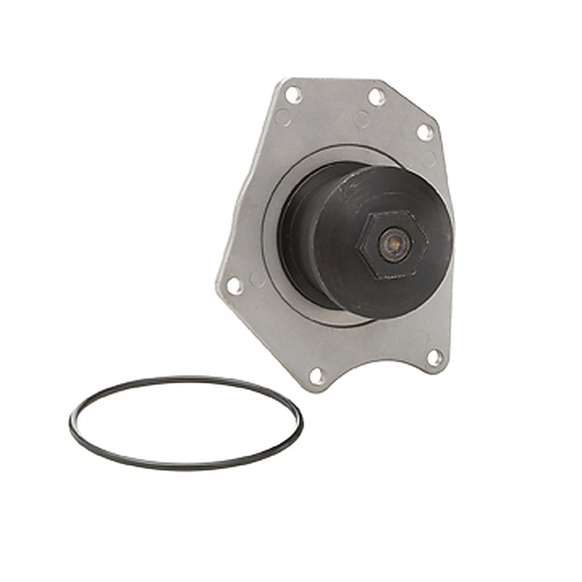 Dayco - DP595 - Water Pump-Auto/Light Truck, Dayco