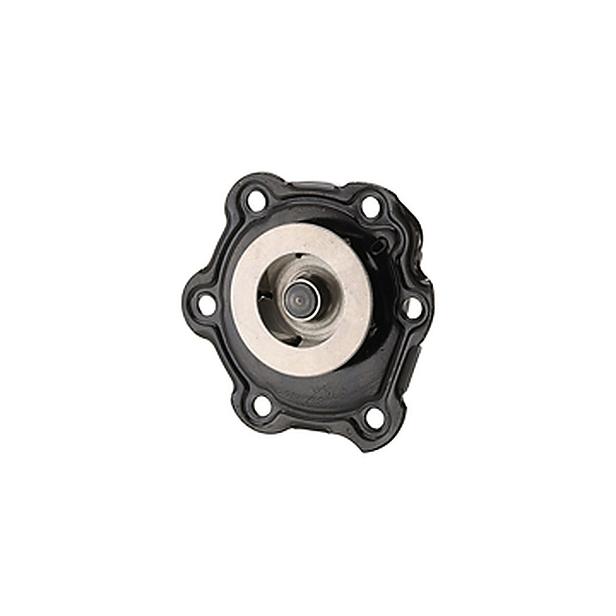 Dayco - DP975 - Water Pump-Auto/Light Truck, Dayco