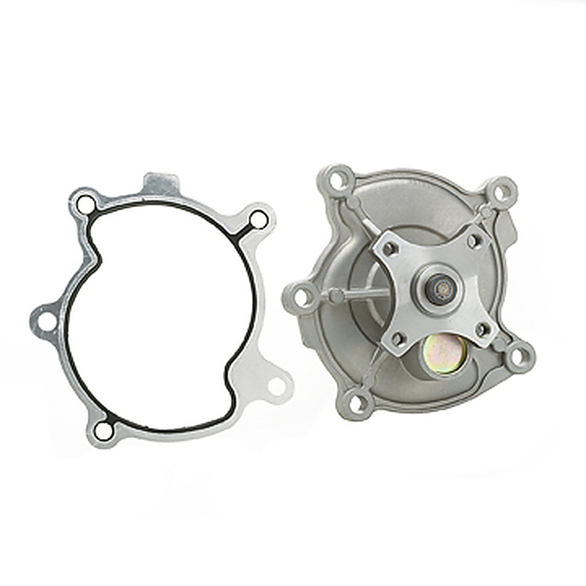 Dayco - DP981 - Water Pump-Auto/Light Truck, Dayco