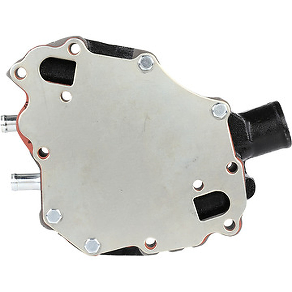Dayco - DP991H - Water Pump-Auto/Light Truck, Dayco