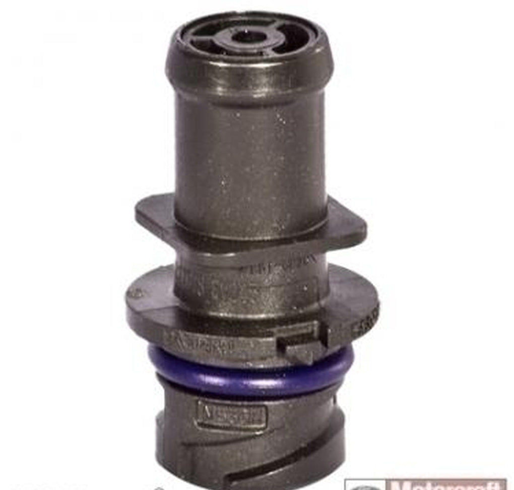 Motorcraft - EV-243 - PCV Valve