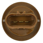 Standard - HP3805 - Electrical Socket