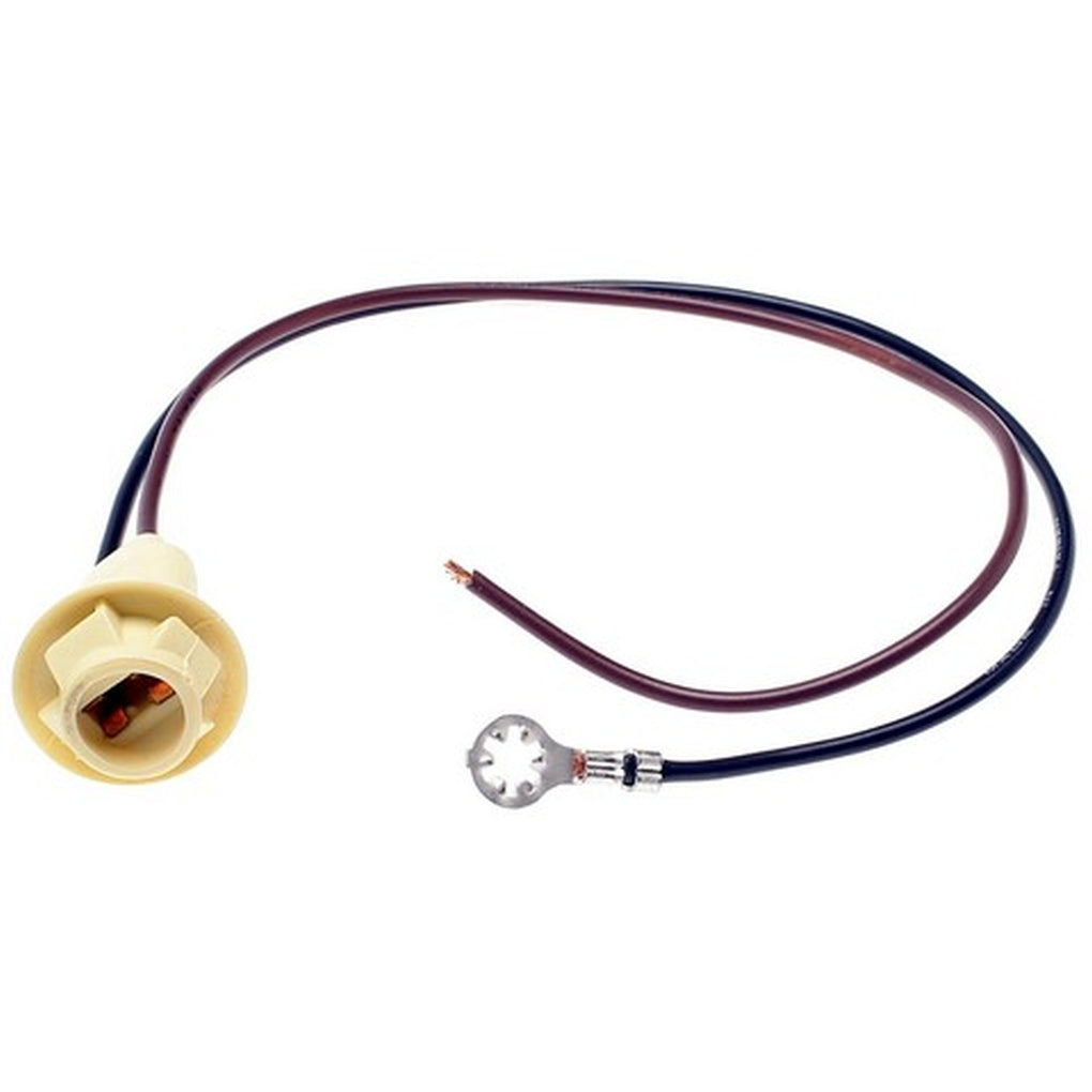 Standard - HP4060 - Electrical Socket