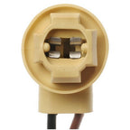 Standard - HP4610 - Electrical Socket