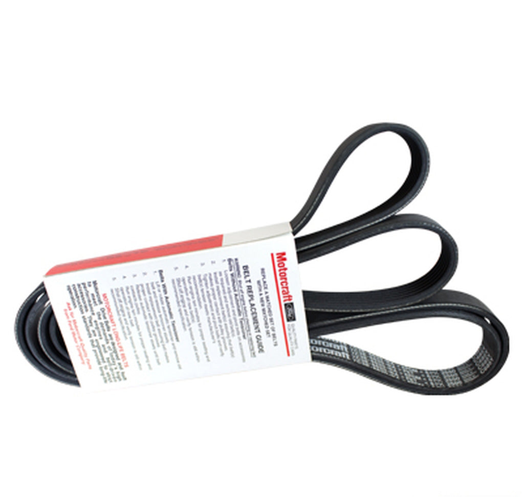 Motorcraft - JK61013B - V-Belt