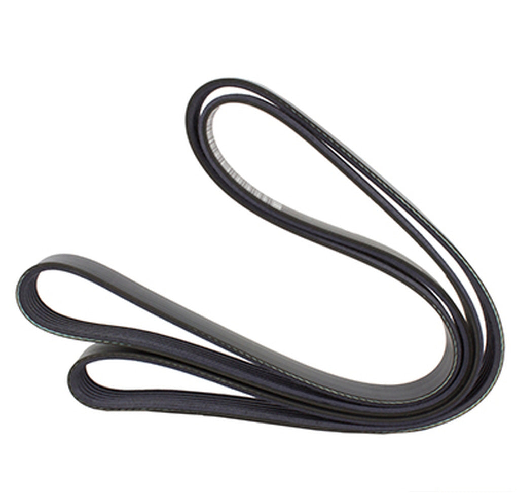 Motorcraft - JK6695 - V-Belt