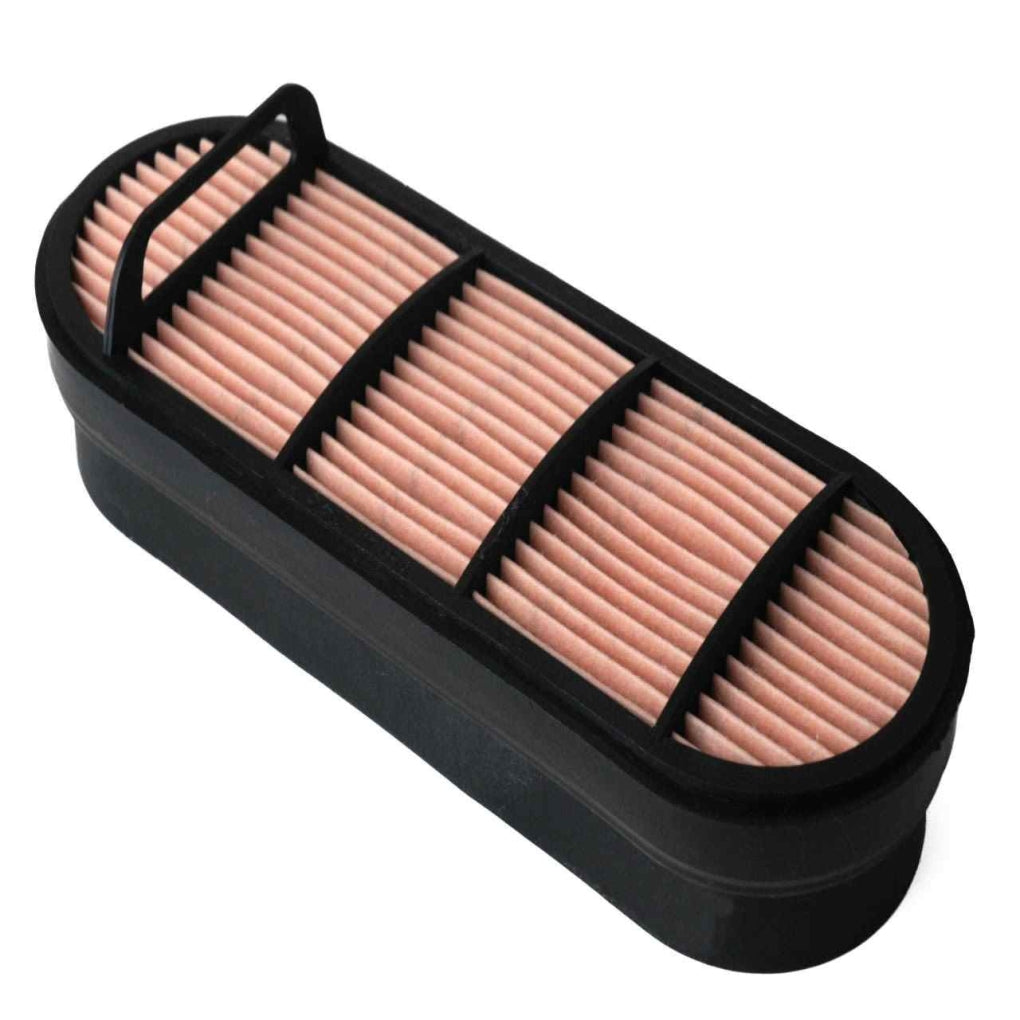Donaldson - P606121 - Air Filter, Safety Obround
