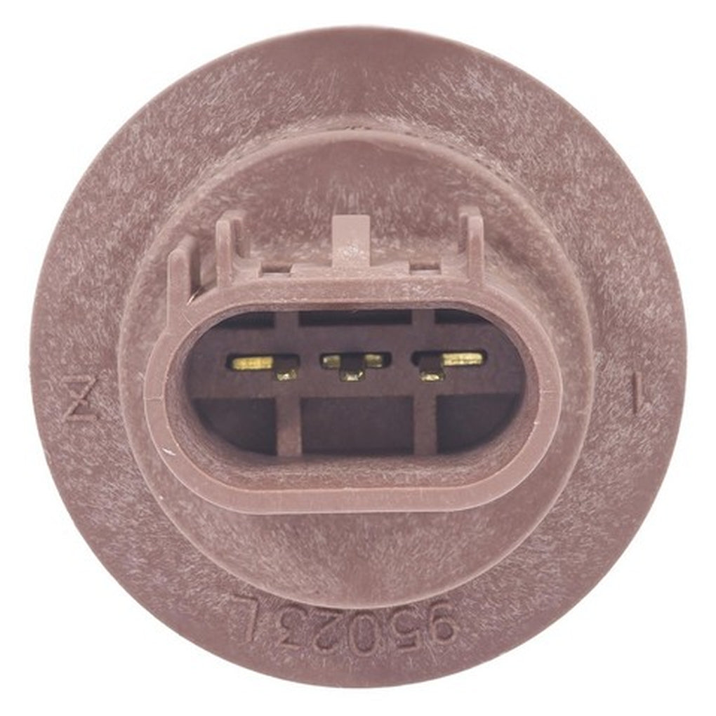 Standard - S2552 - Electrical Socket