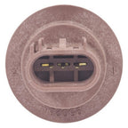 Standard - S2552 - Electrical Socket
