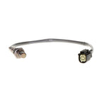 Standard - SG2113T - Oxygen Sensor