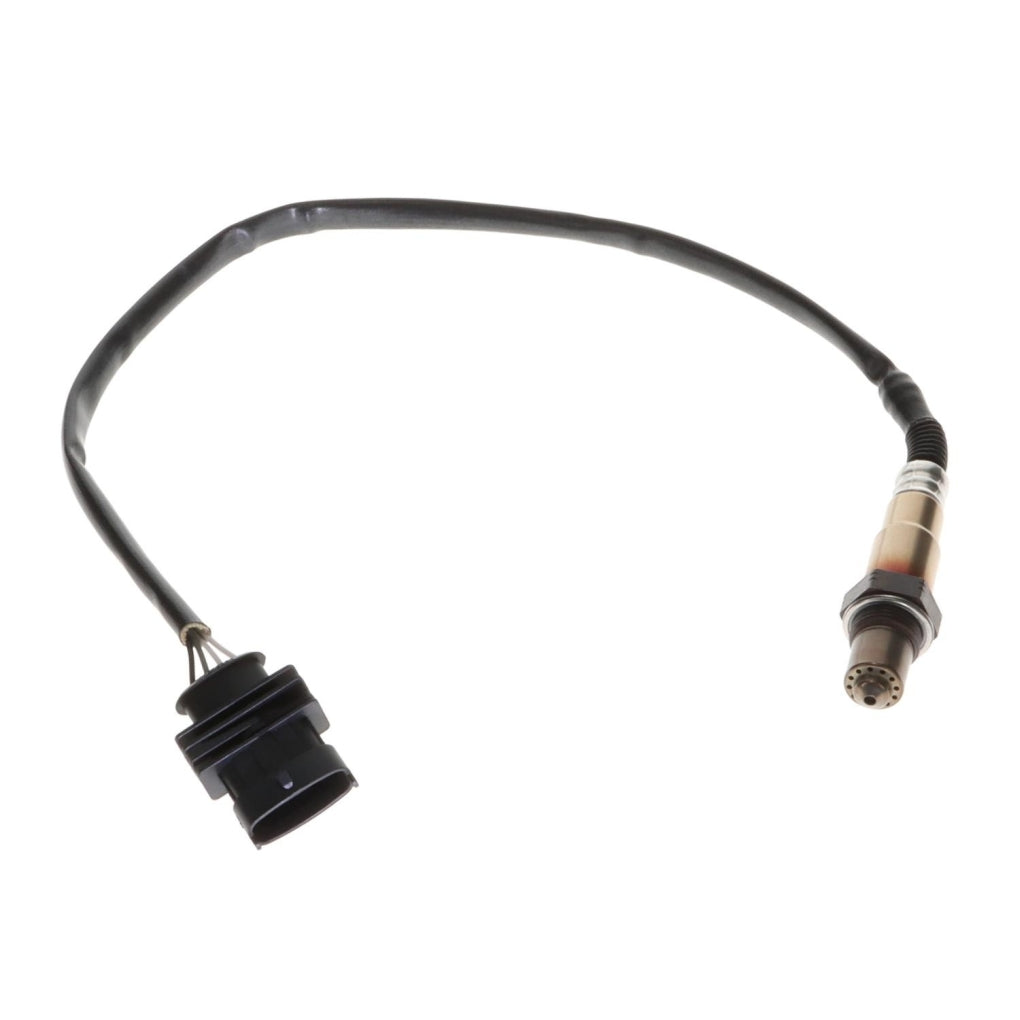 Standard - SG2138T - Oxygen Sensor