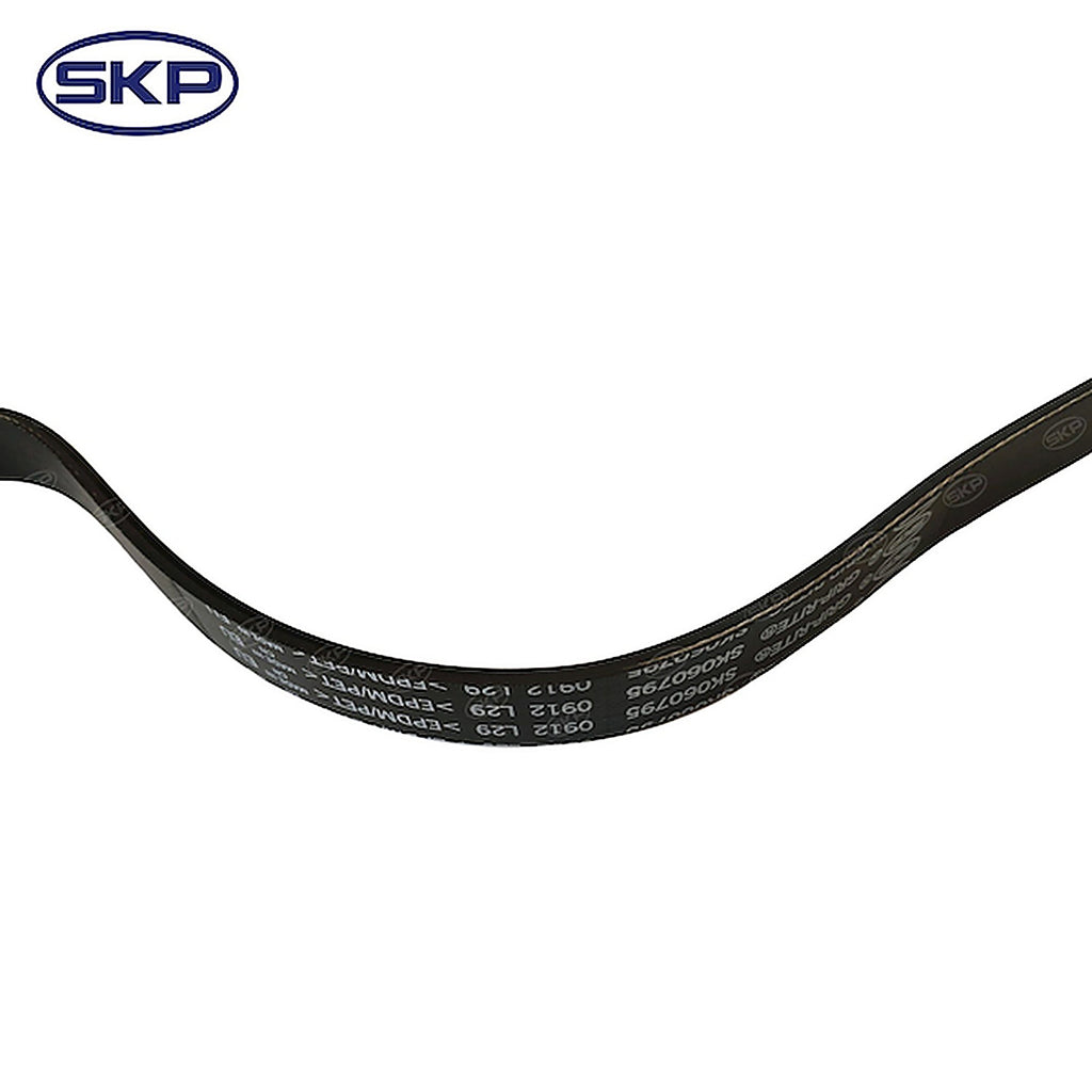 Skyward - SK060795HD - Serpentine Belt