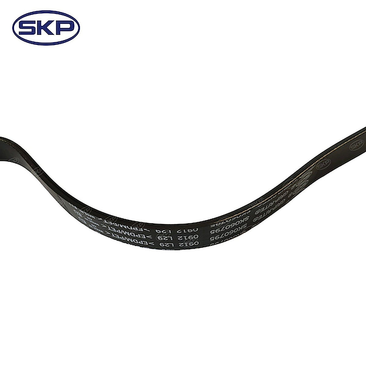 Skyward - SK060795HD - Serpentine Belt
