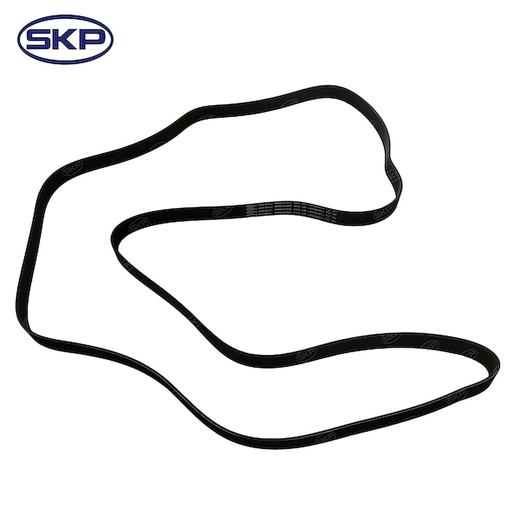 Skyward - SK081223HD - Serpentine Belt