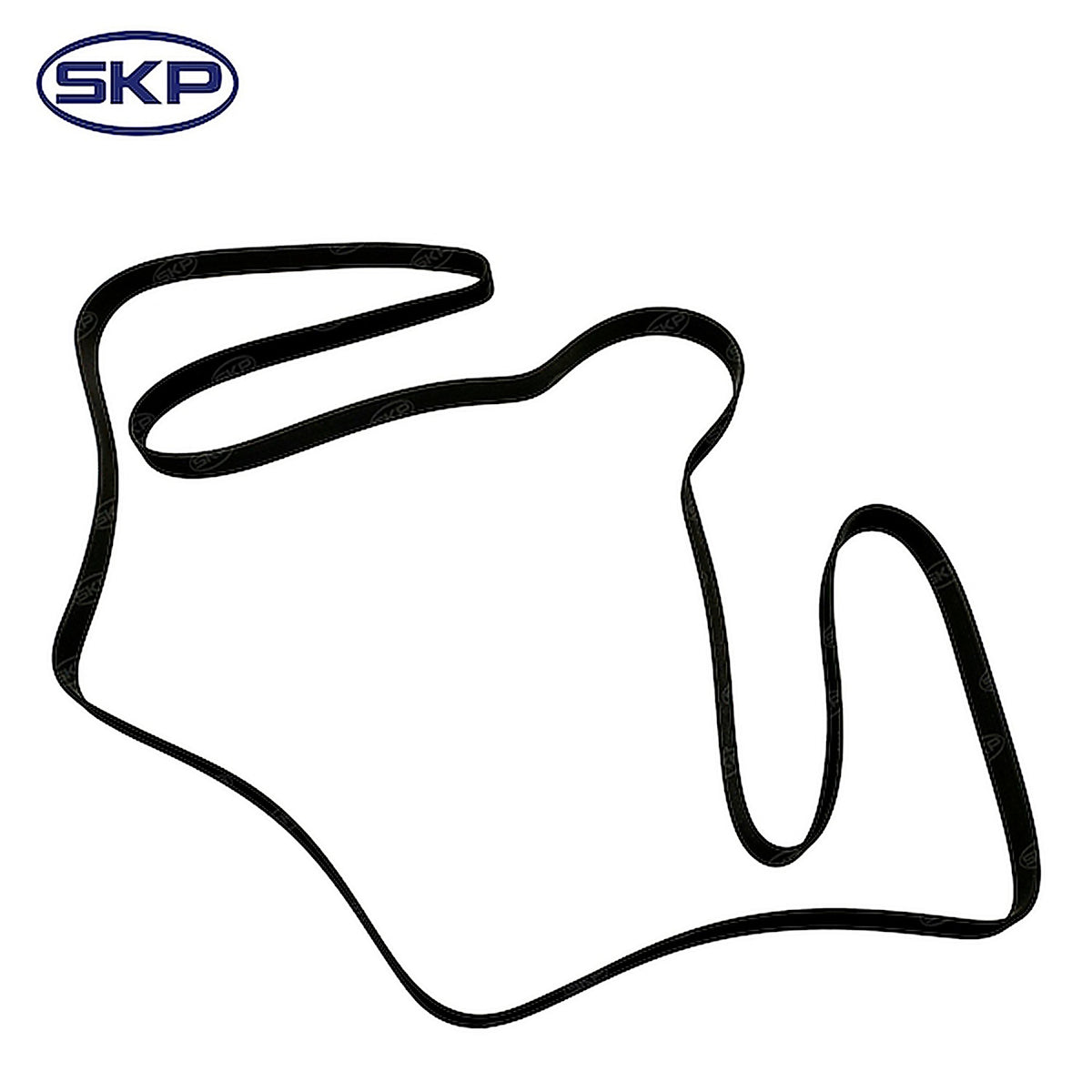 Skyward - SK081264HD - Serpentine Belt