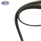 Skyward - SK081264HD - Serpentine Belt