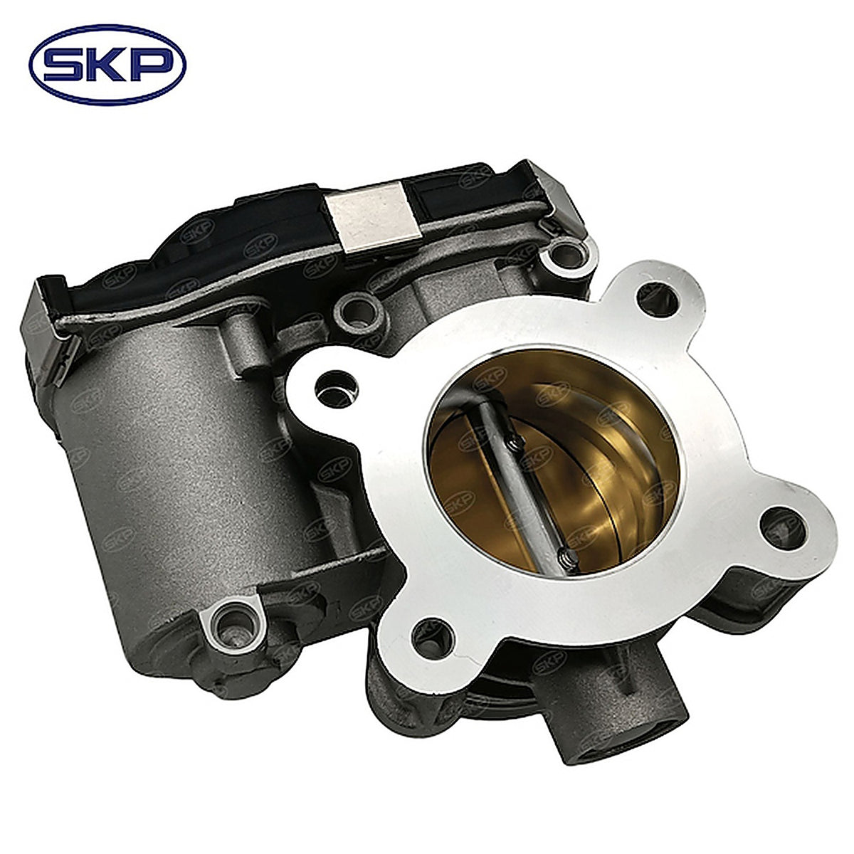 Skyward - SK12671379 - Fuel Injection Throttle B