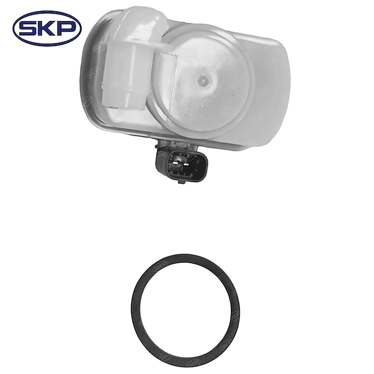 Skyward - SK310218 - Evaporative Emissions Sys