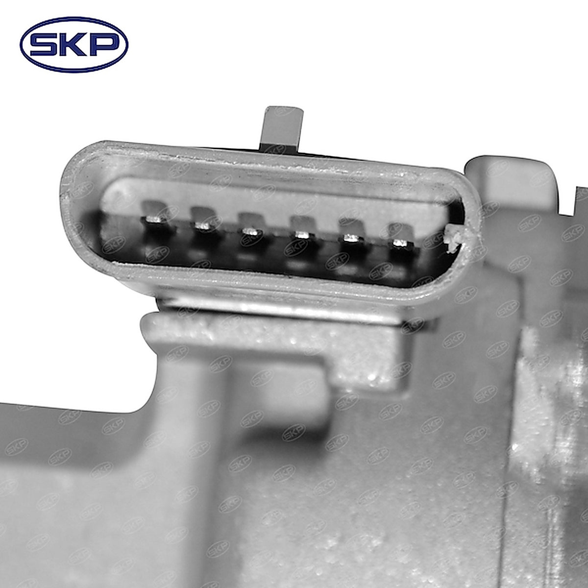 Skyward - SKDIFD17 - Distributor