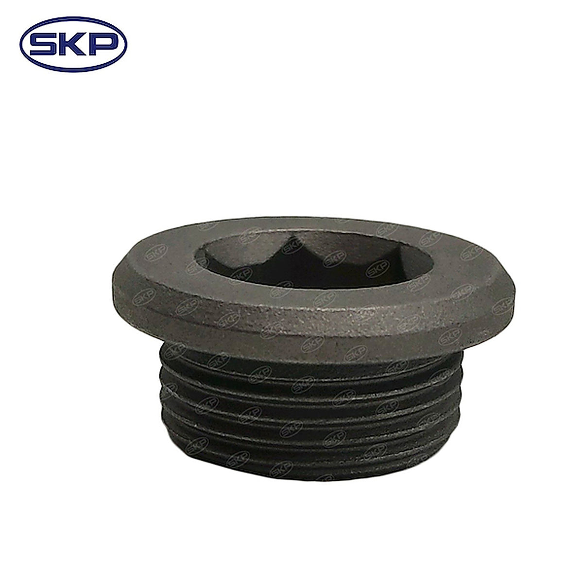 Skyward - SKY01451 - Differential Drain Plug