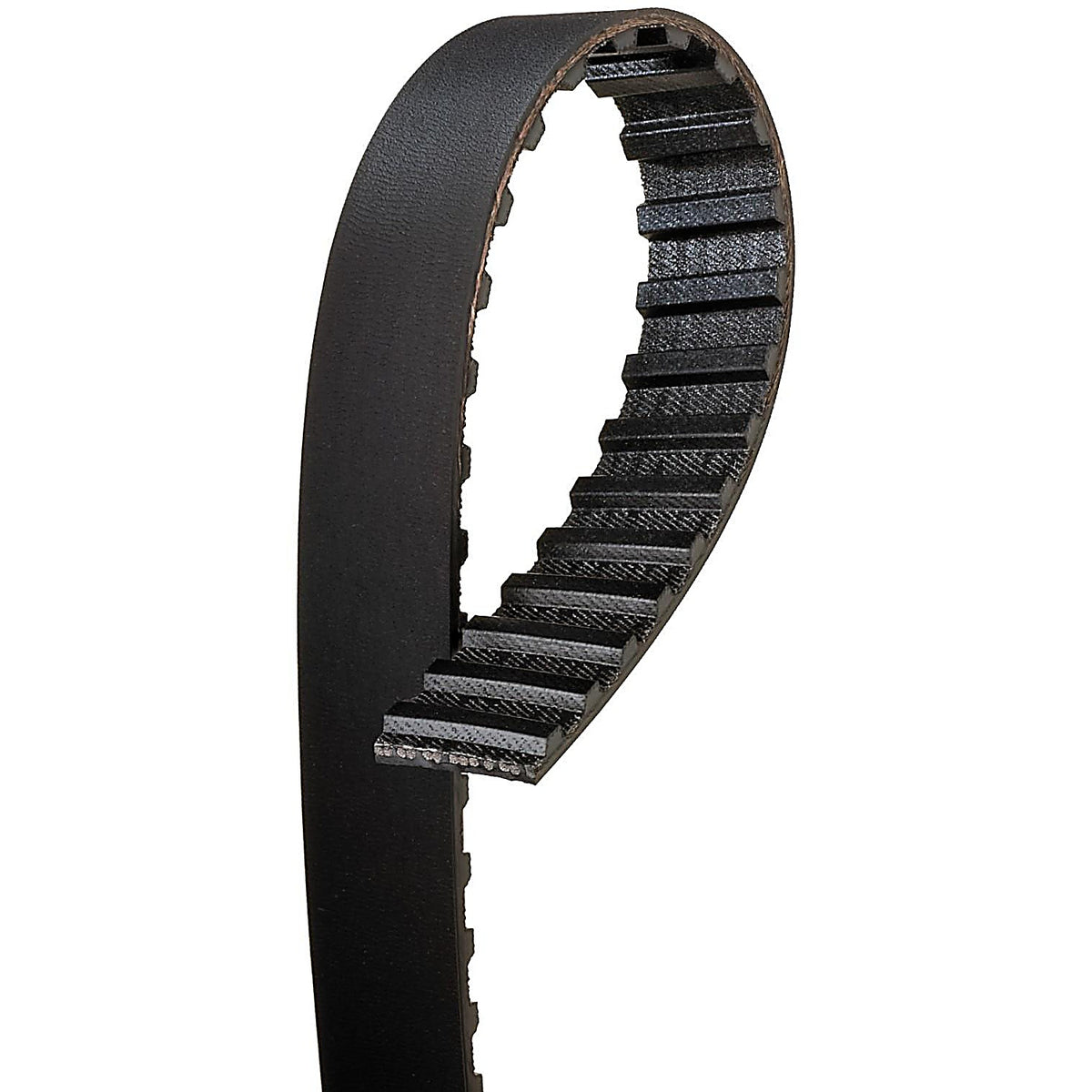 Gates - T100 - Automotive Timing Belt - 3/4 in x 35 5/8 in (95 Teeth)
