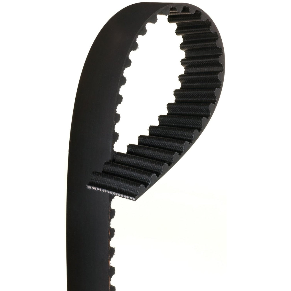 Gates - T244 - Timing Belt