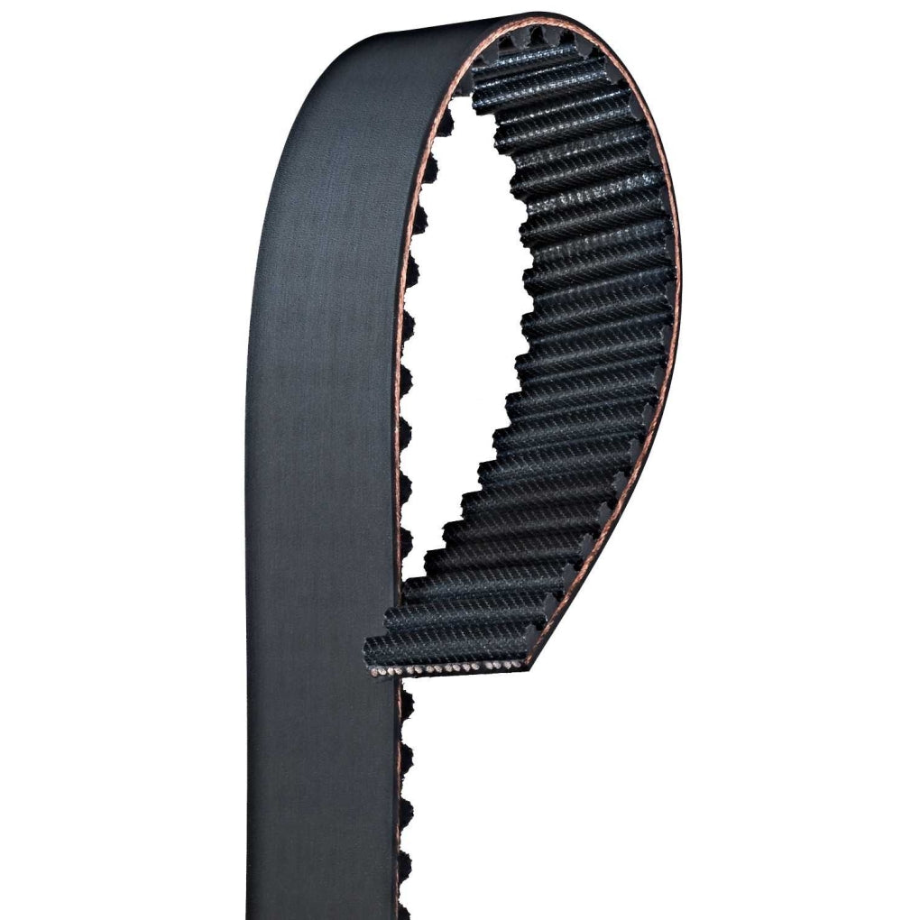 Gates - T281 - Timing Belt