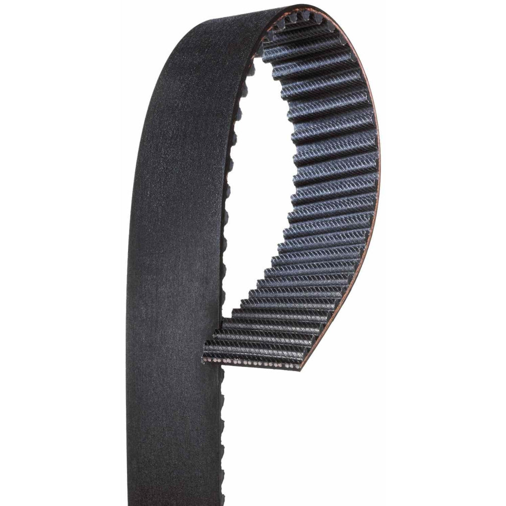 Gates - T295 - Timing Belt