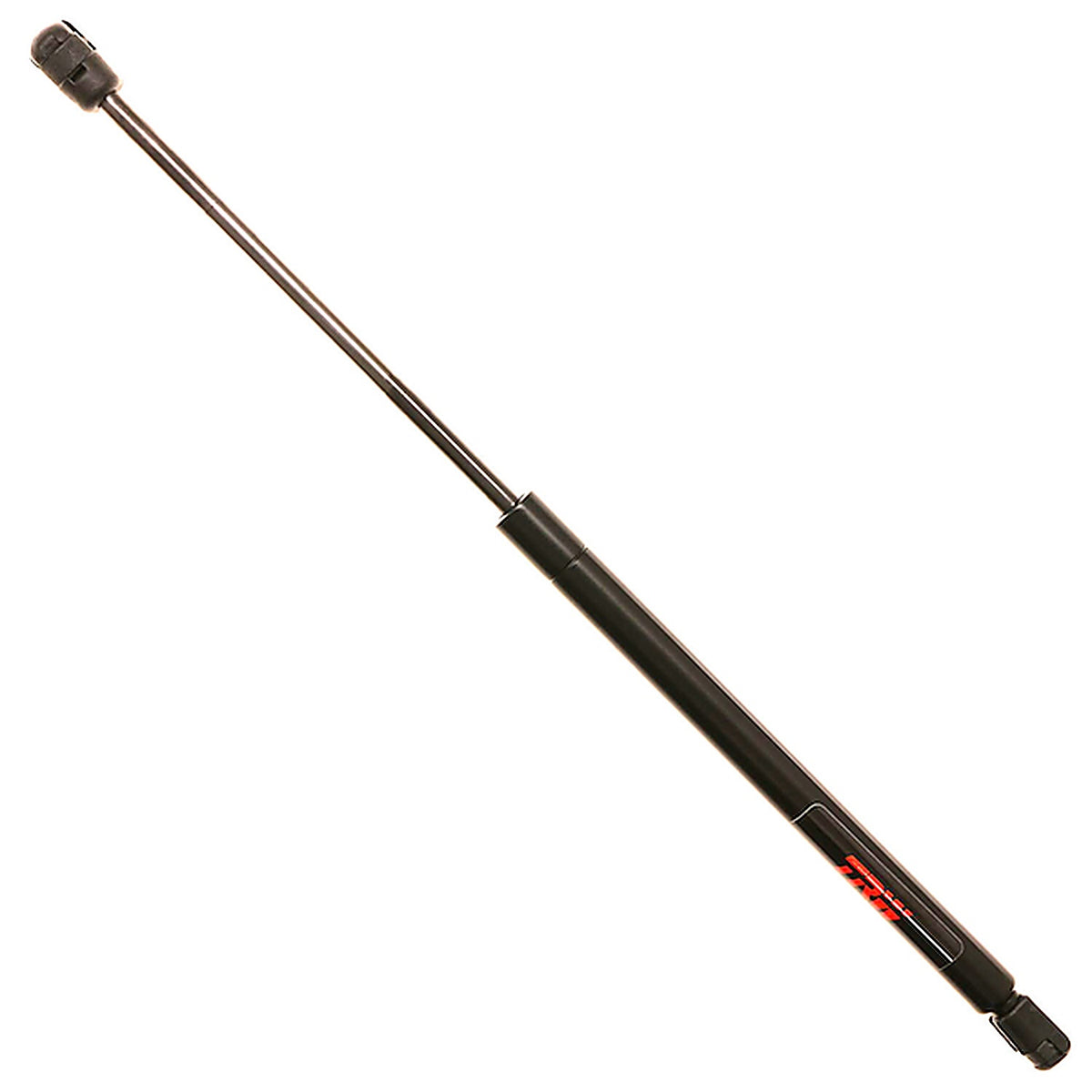 SACHS - TSG314048 - Trw-Back Glass Lift Support