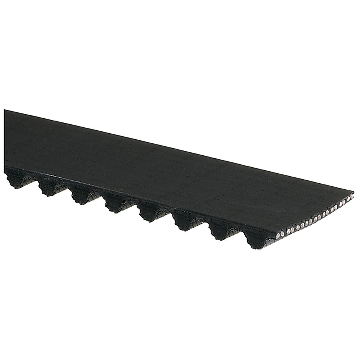 Gates - TX244 - Automotive Timing Belt